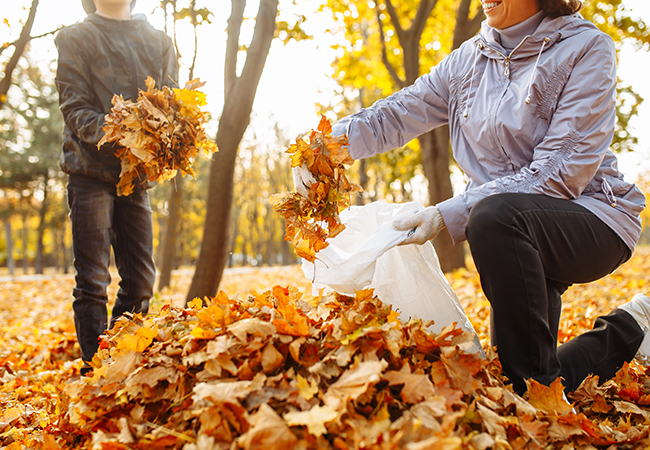 Don’t Let Your Back Suffer This Holiday Season
